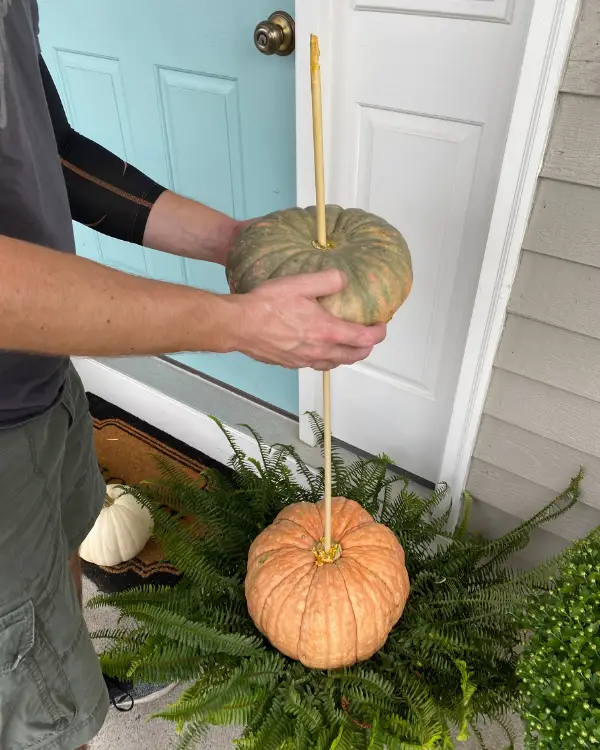 Making a Pumpkin Stack for the Porch with Real Pumpkins