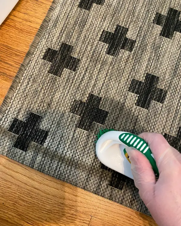 The Best Way to Clean an Indoor/Outdoor Rug with Dawn Powerspray