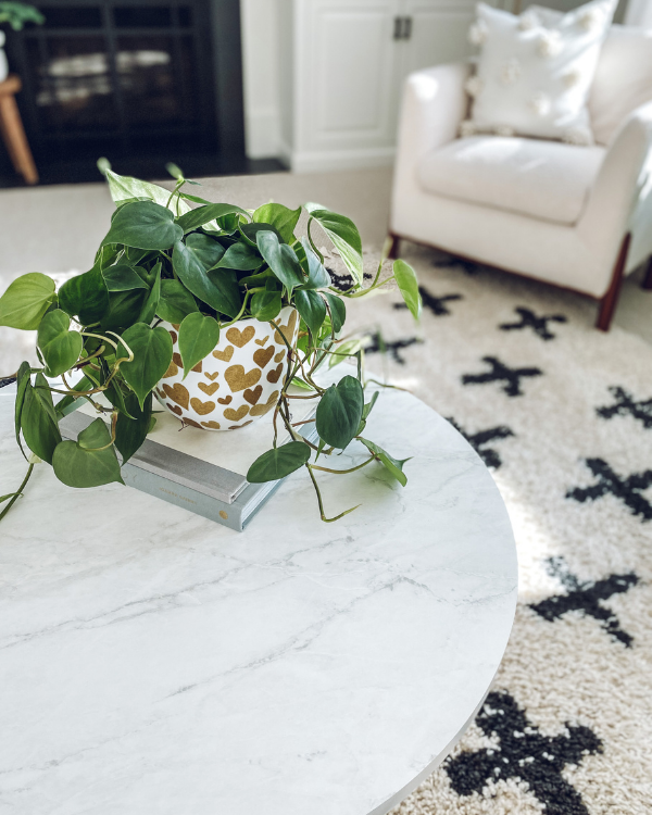 DIY Valentine's Day planter