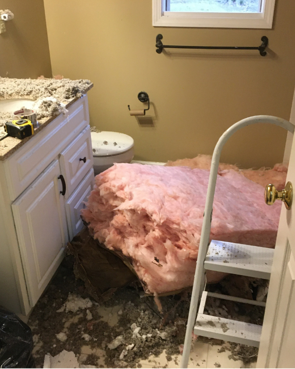 Getting ready to put in new insulation