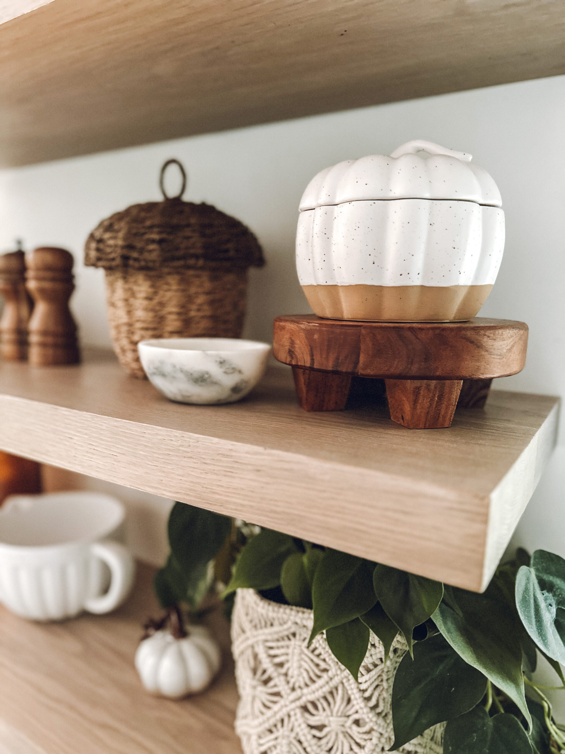 Have a pumpkin canister on the kitchen shelf
