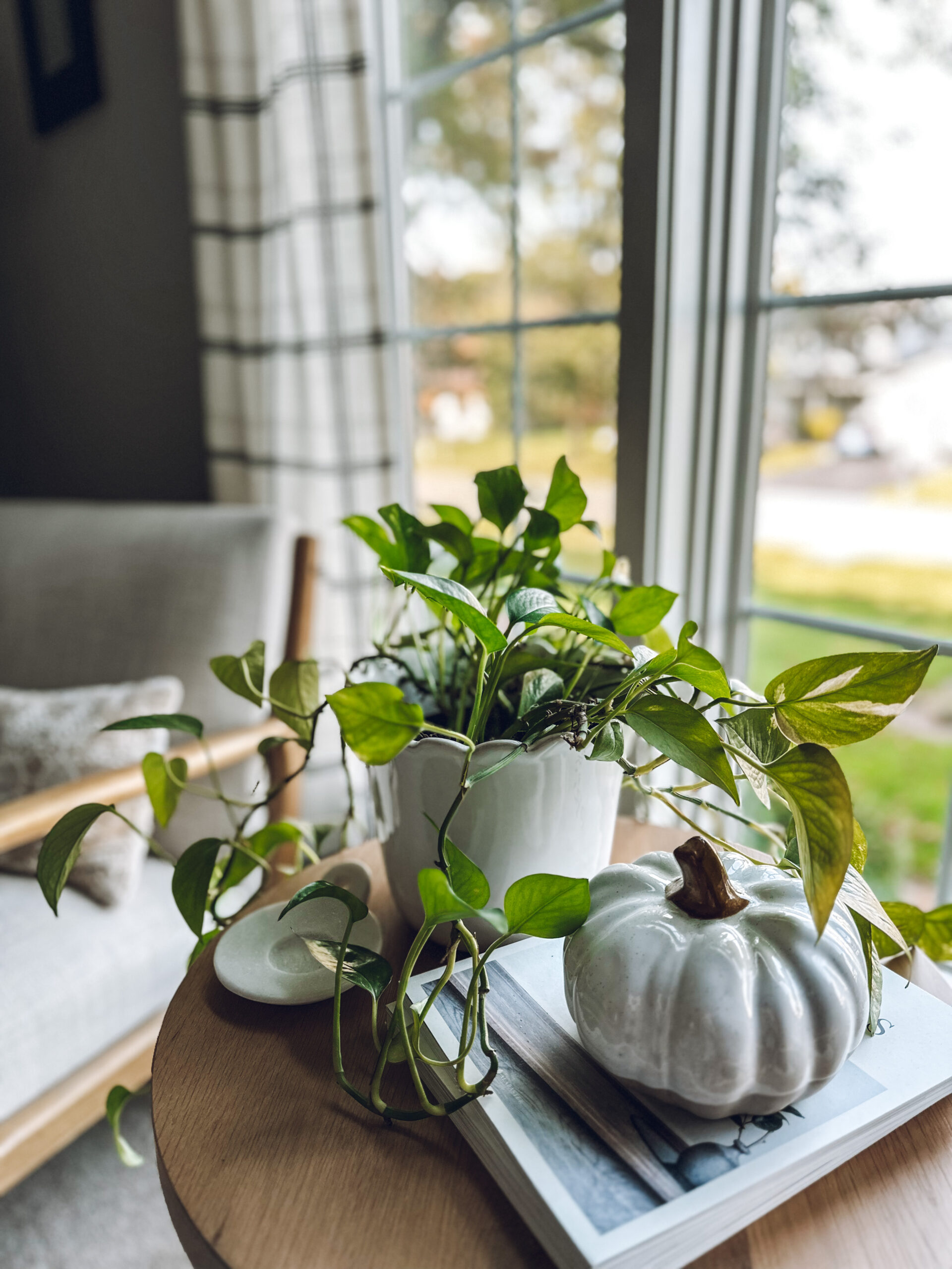 Place a pumpkin on a stack of books
